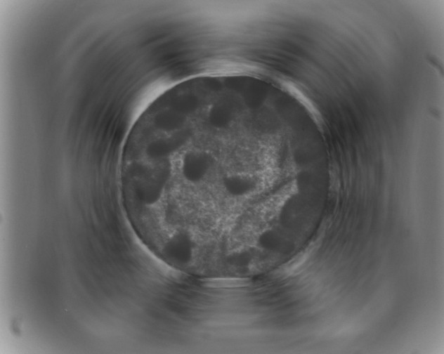 X0000097491487200803141946