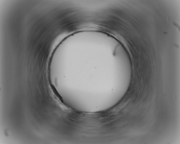 X0000097491488200803141946