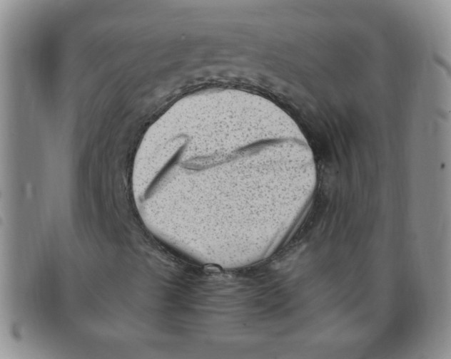 X0000097491489200803141945