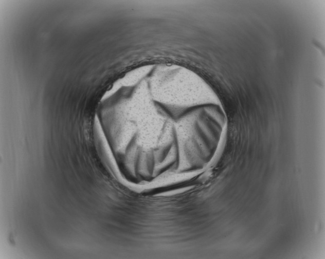 X0000097491490200803141945