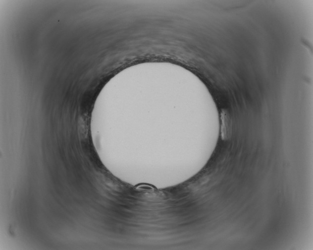 X0000097491491200803141945