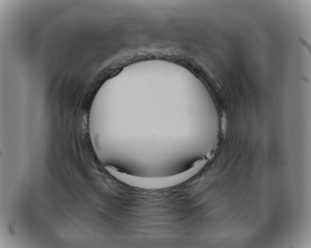 X0000097491492200803141945