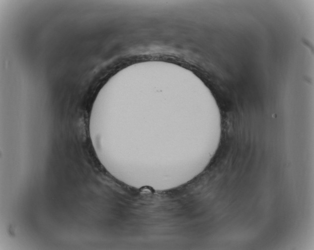 X0000097491493200803141945