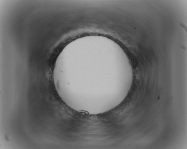 X0000097491495200803141945