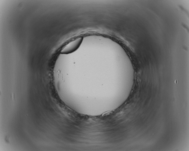 X0000097491496200803141945