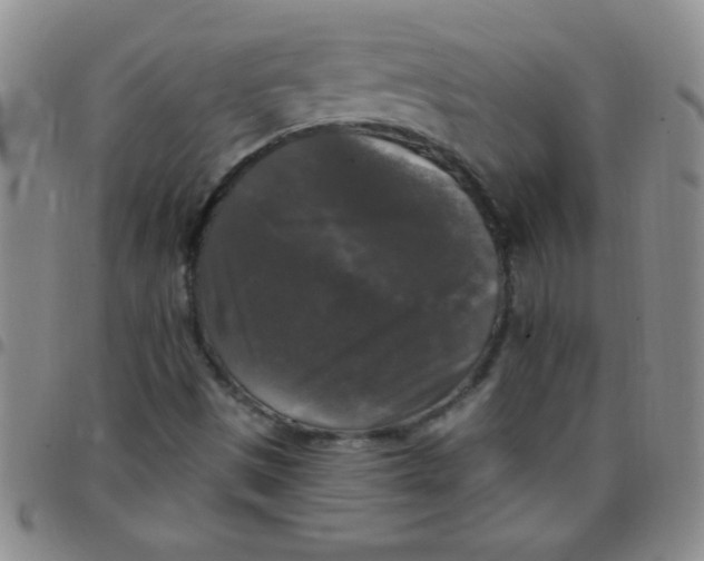 X0000097491497200803141945