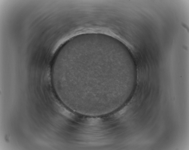 X0000097491498200803141945