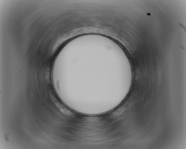 X0000097491499200803141945