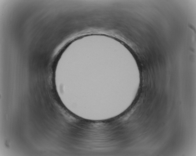 X0000097491502200803141945