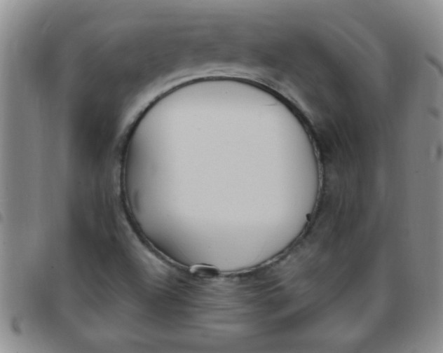 X0000097491504200803141945