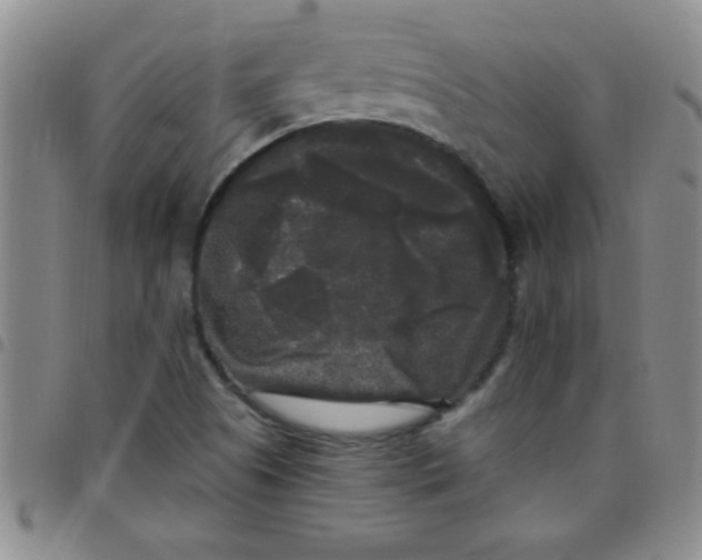 X0000097491505200803141945