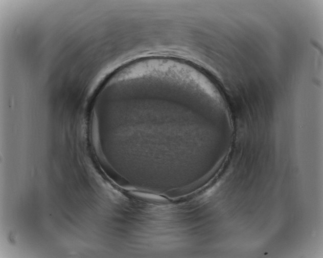 X0000097491506200803141945