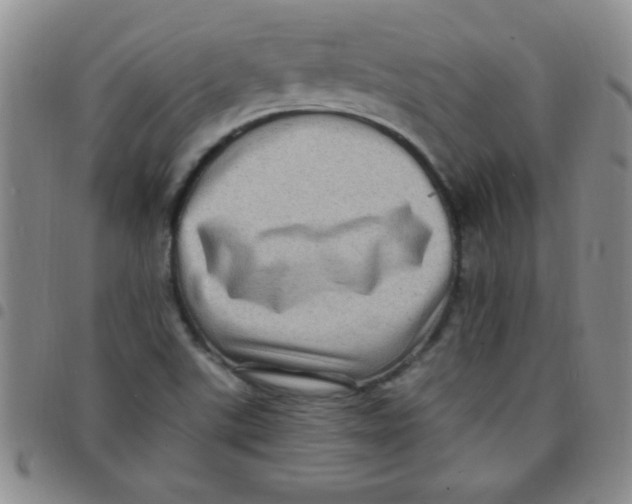 X0000097491507200803141945