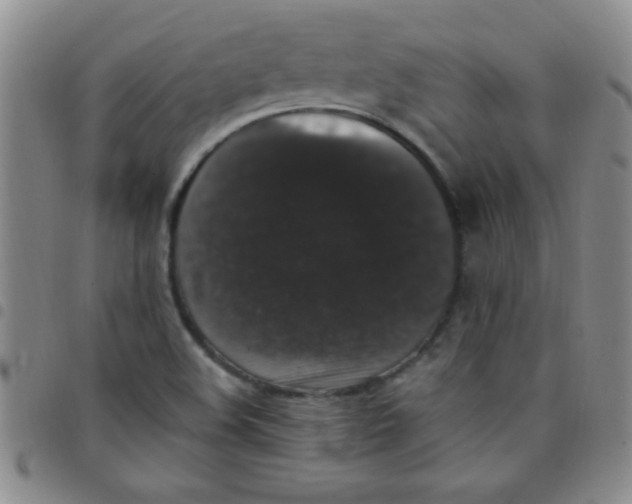 X0000097491508200803141945