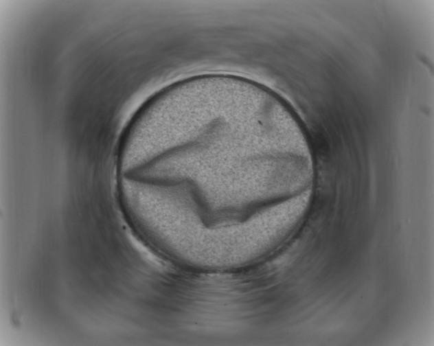 X0000097491511200803141945