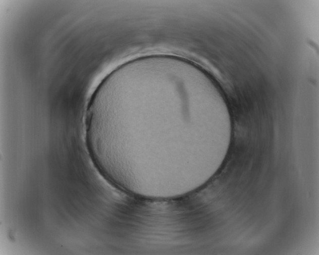 X0000097491512200803141945