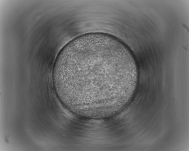 X0000097491513200803141945