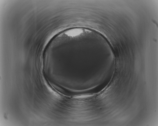 X0000097491515200803141945