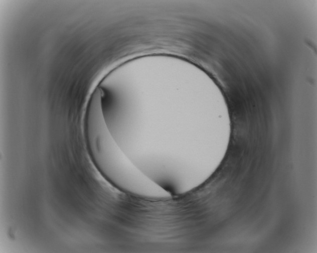 X0000097491516200803141945