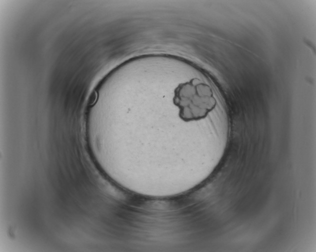 X0000097491517200803141945