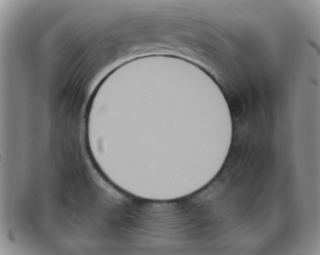 X0000097491518200803141945