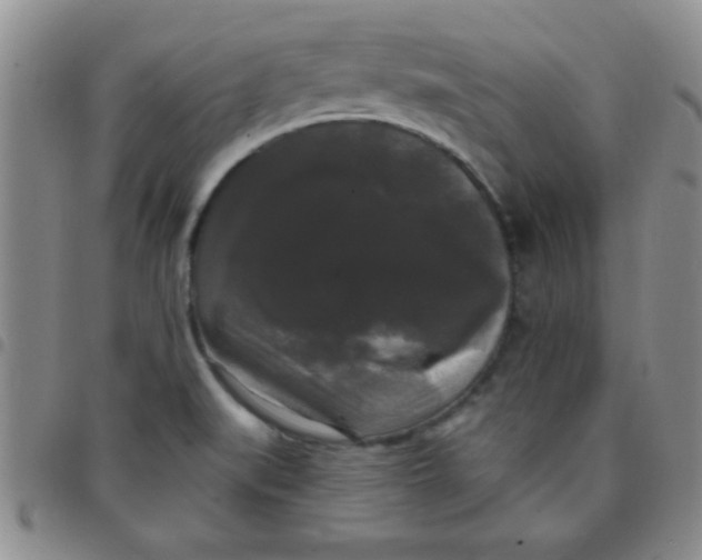 X0000097491519200803141945