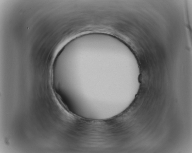 X0000097491520200803141945