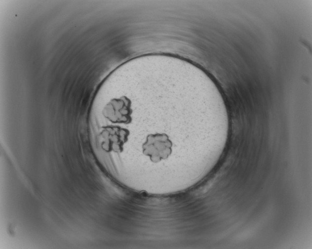 X0000097491521200803141945