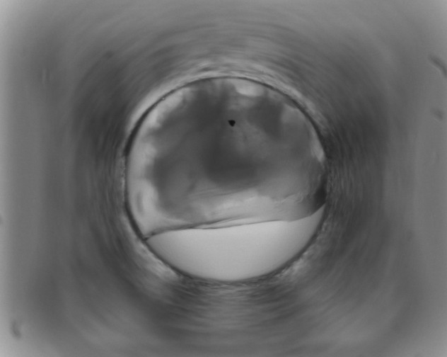 X0000097491522200803141945