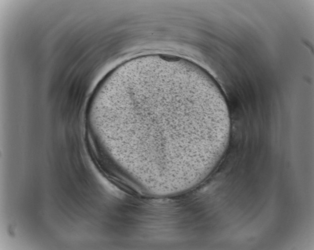 X0000097491523200803141945