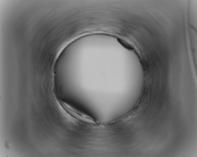 X0000097491524200803141945