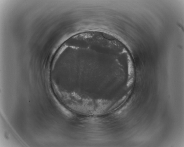 X0000097491525200803141946