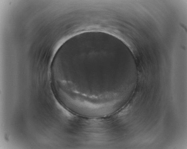 X0000097491527200803141946