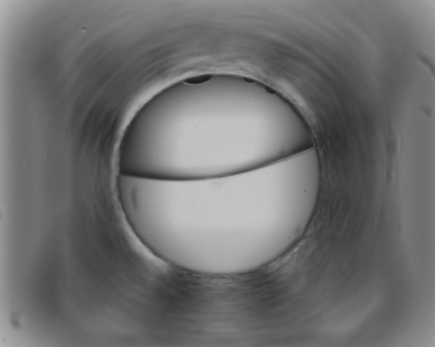 X0000097491528200803141946