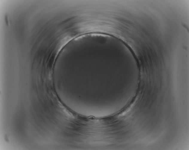 X0000097491529200803141946