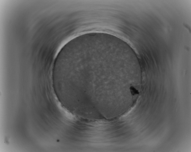 X0000097491530200803141946