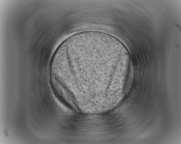 X0000097491531200803141946