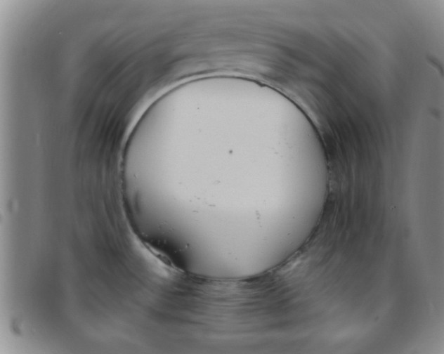 X0000097491532200803141946