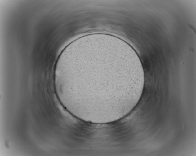 X0000097491534200803141946