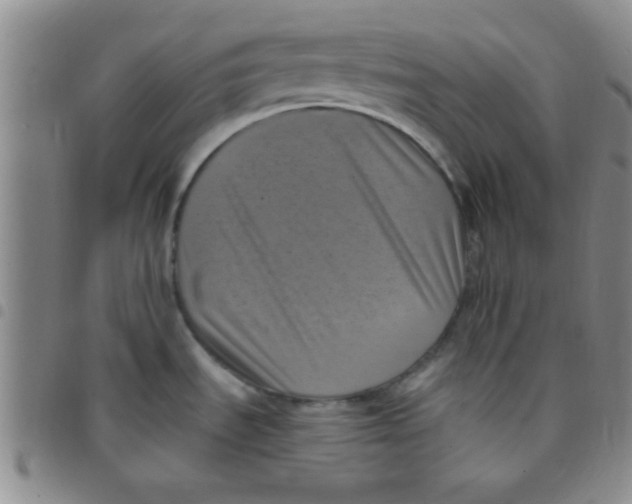 X0000097491535200803141946