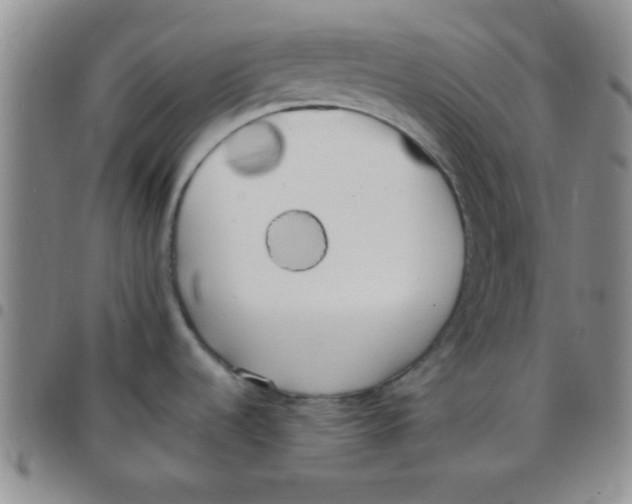 X0000097491536200803141946