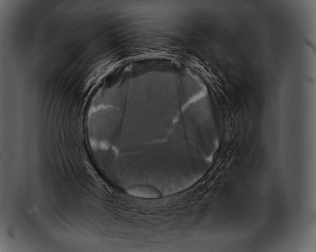 X0000097490002200803201540