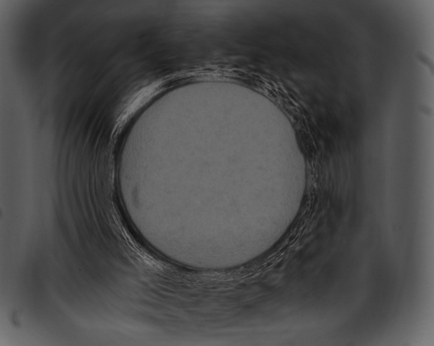 X0000097490005200803201540