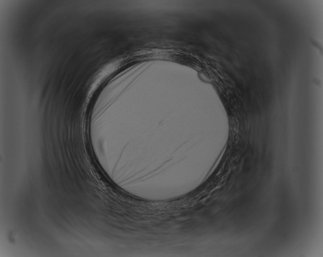 X0000097490006200803201540