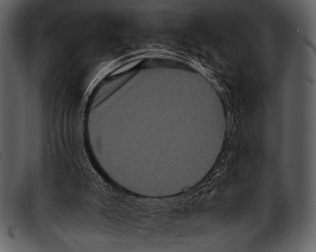 X0000097490007200803201540