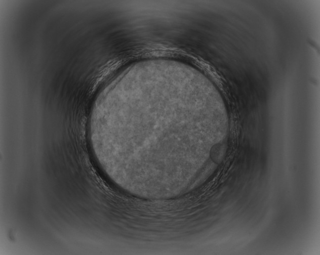 X0000097490010200803201540