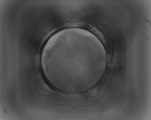 X0000097490012200803201540