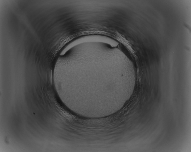 X0000097490013200803201540