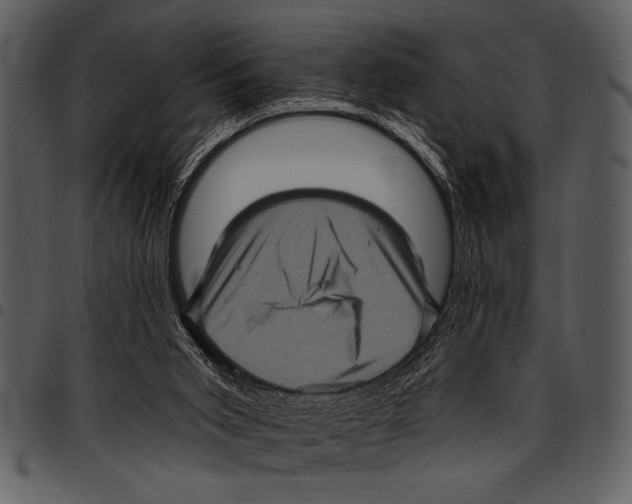 X0000097490015200803201540