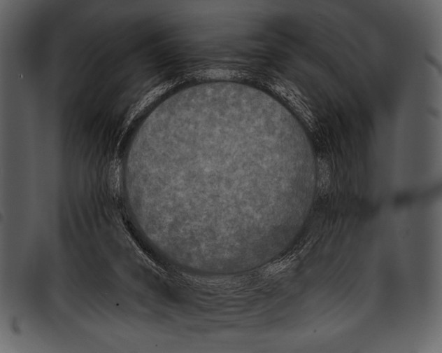 X0000097490016200803201540